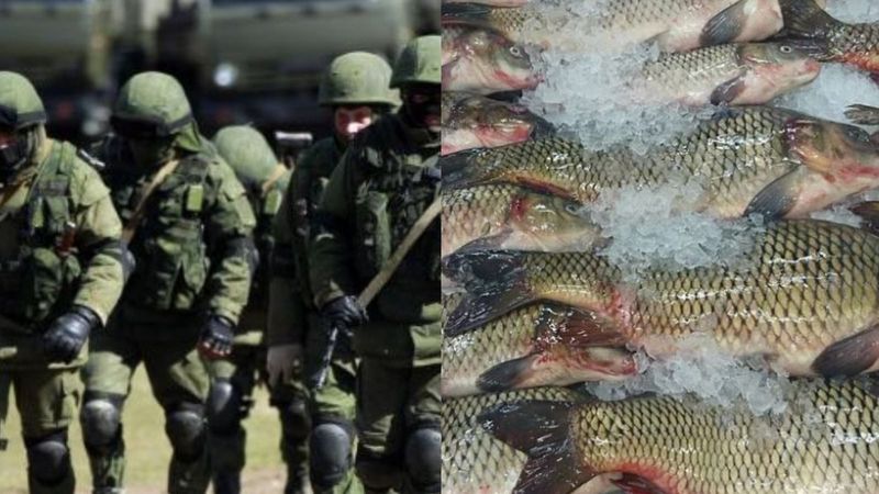 Dimineața Nebună: Rudele bărbaților ruși mobilizați de pe insula Sahalin primesc c&acirc;te 5 kilograme de pește - AUDIO