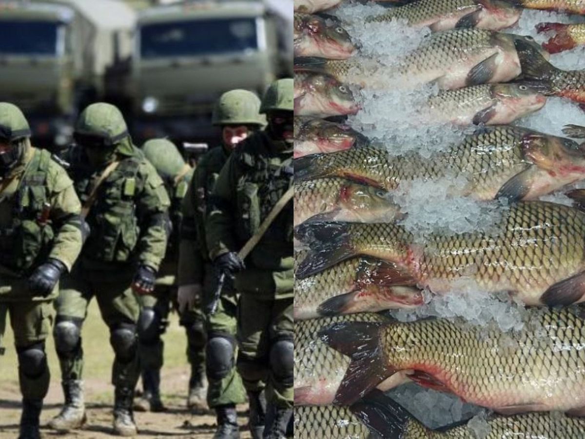 Rudele bărbaților ruși mobilizați de pe insula Sahalin primesc câte 5 kilograme de pește