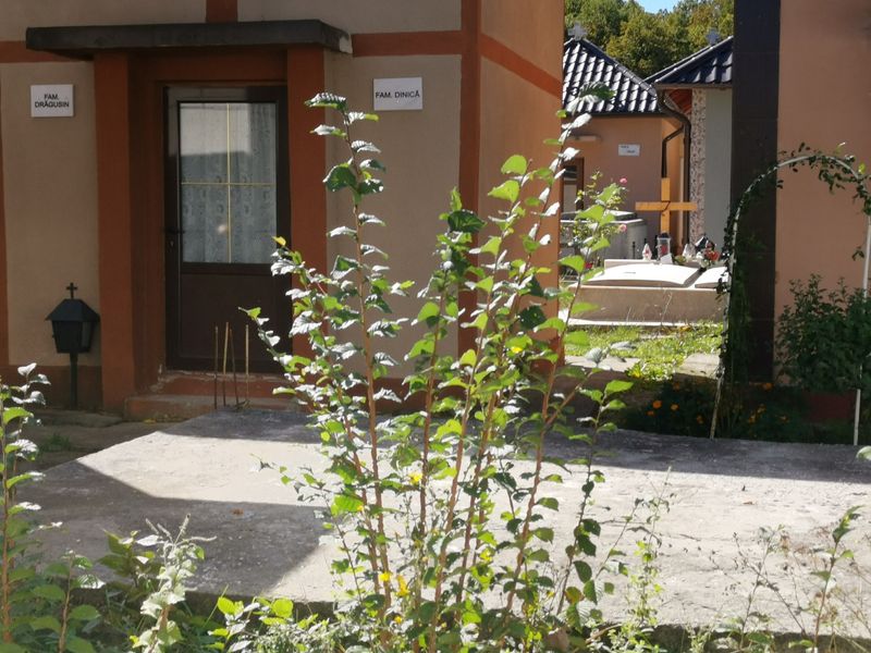 Orașul  din România cu 