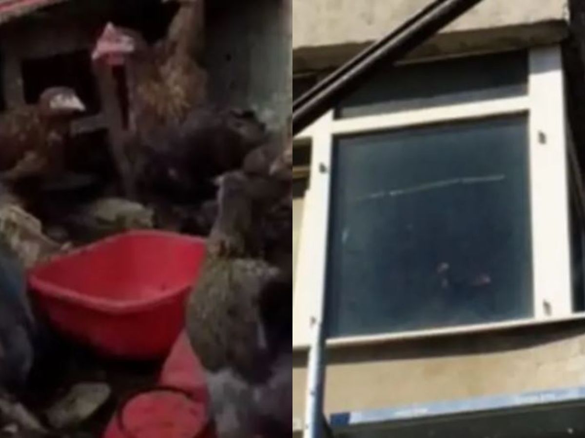 Focar de infecție într-un apartament din Găești