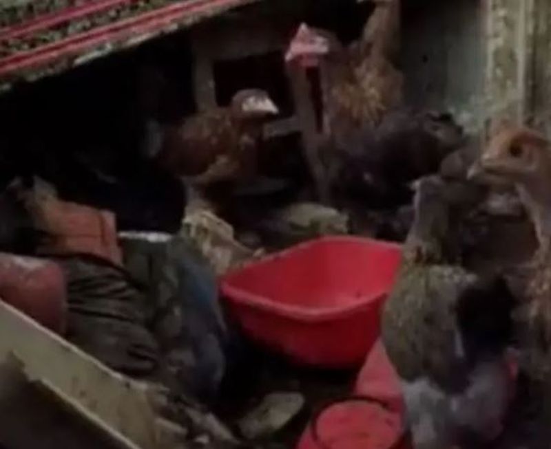 Focar de infecție într-un apartament din Găești