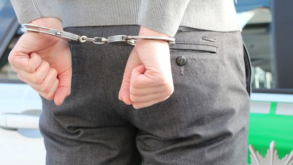 Dimineața Nebună. Substanțe interzise găsite în cotețele cotețele porcilor și ale găinilor în Baia Mare. Audio