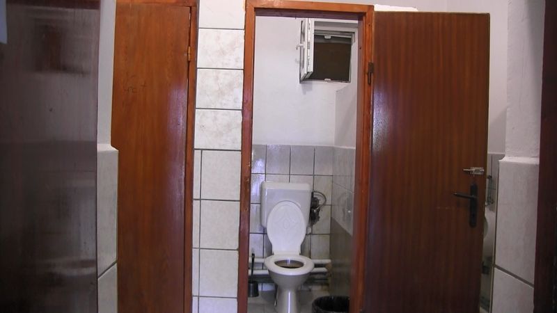  Geamurile de la toalete au fost zidite într-o școală din Arad