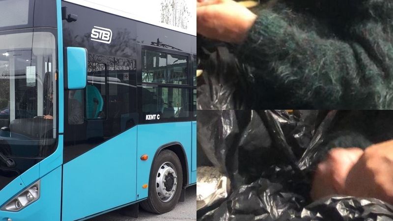 Imagini virale &icirc;ntr-un autobuz din Capitală. O femeie a fost surprinsă &icirc;ntr-o ipostază mai puțin obișnuită, &icirc;n văzul tuturor călătorilor: &bdquo;Ne-a fost dat să vedem și asta&rdquo;