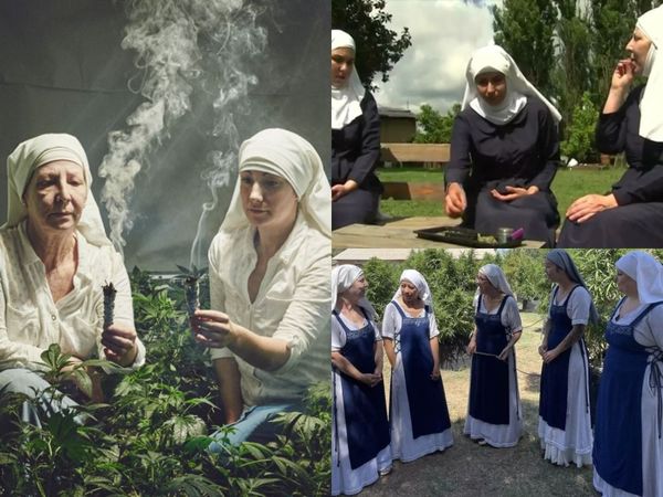 Dimineața Nebună: "Călugărițele Weed", femeile care fac milioane de dolari din afaceri cu canabis: &bdquo;Misiunea noastră este de a vindeca&rdquo;- AUDIO