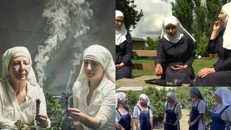 Dimineața Nebună: "Călugărițele Weed", femeile care fac milioane de dolari din afaceri cu canabis: &bdquo;Misiunea noastră este de a vindeca&rdquo;- AUDIO
