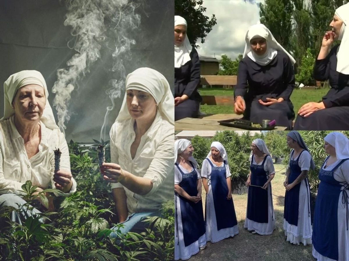  "Călugărițele Weed", femeile care fac milioane de dolari din afaceri cu cannabis 