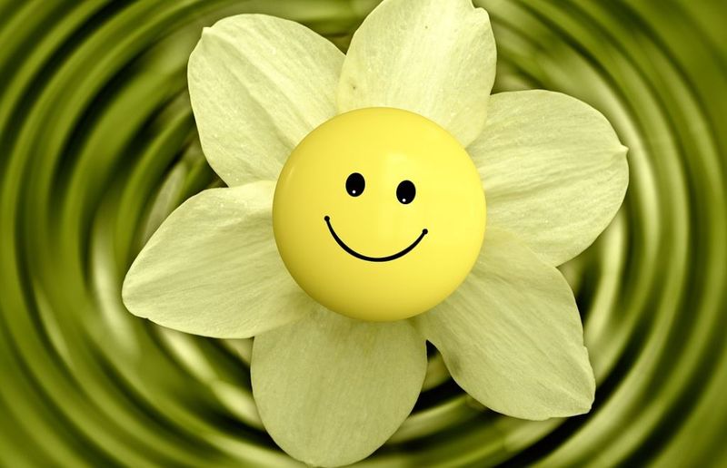 Bancul zilei de luni, 7 noimebrie 2022: Șeful meu mi-a zis