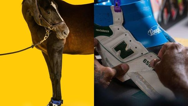Dimineața Nebună: Primii adidași pentru cai. Cu cât se vinde o pereche - AUDIO