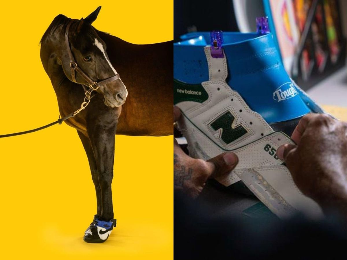 Primii adidași pentru cai