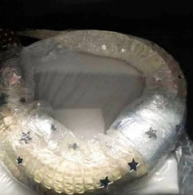  Aligator viu descoperit într-un bagaj la aeroport