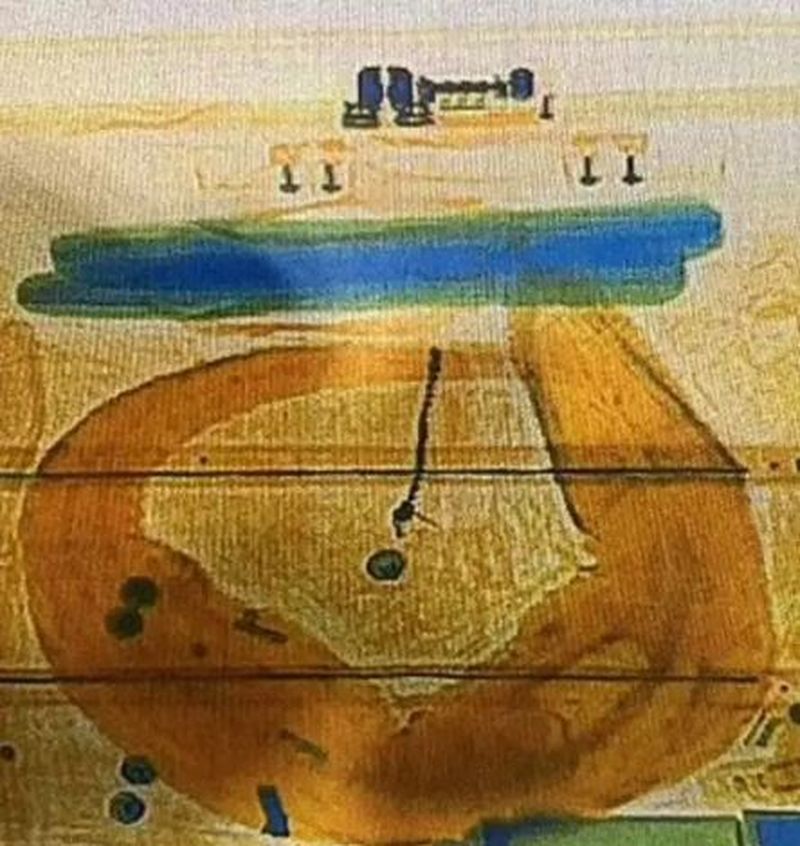 Un bărbat a încercat să urce cu un aligator viu în avion