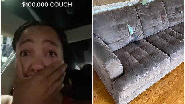 O influenceriță și-a implorat fanii să îi doneze bani, după ce a cumpărat „din greșeală” o canapea de 100.000 de dolari: „Ai putea dona, te rog?”