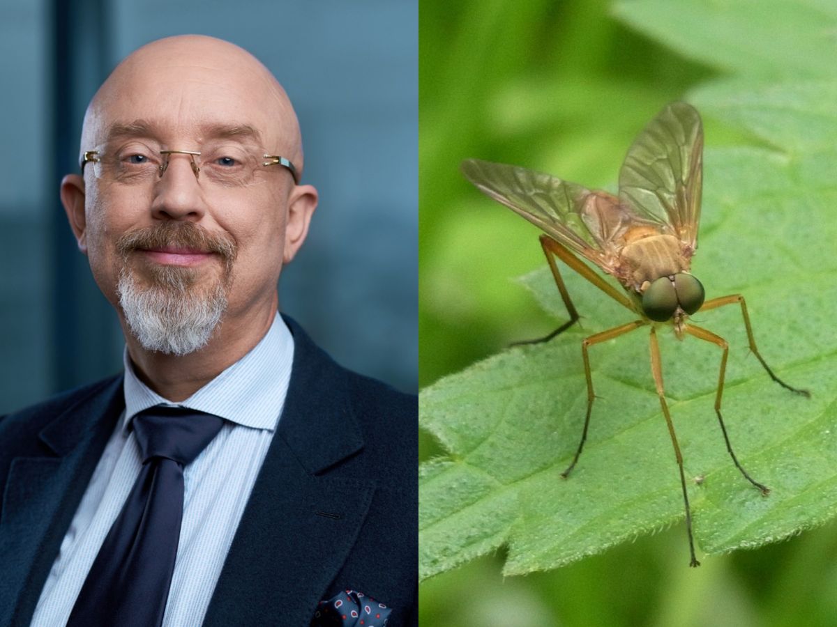 Ministrul apărării ucrainean, Oleksii Reznikov, a anunțat o „mobilizare parțială” a țânțarilor