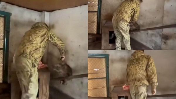 Dimineața Nebună: Soldații ruși au stârnit râsul pe Internet, după ce au furat un raton din Grădina zoologică din Herson -  AUDIO