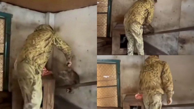Dimineața Nebună: Soldații ruși au st&acirc;rnit r&acirc;sul pe Internet, după ce au furat un raton din Grădina zoologică din Herson -  AUDIO