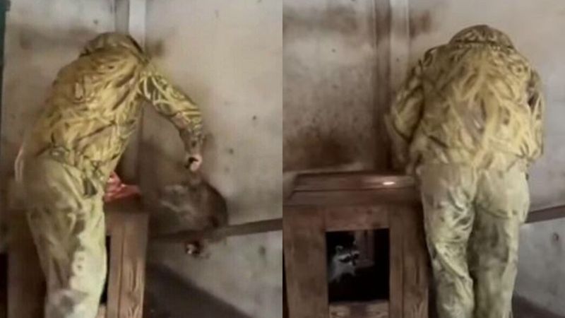 Dimineața Nebună: A fost identificat bărbatul care a furat ratonul de la grădina zoologică din Herson - AUDIO