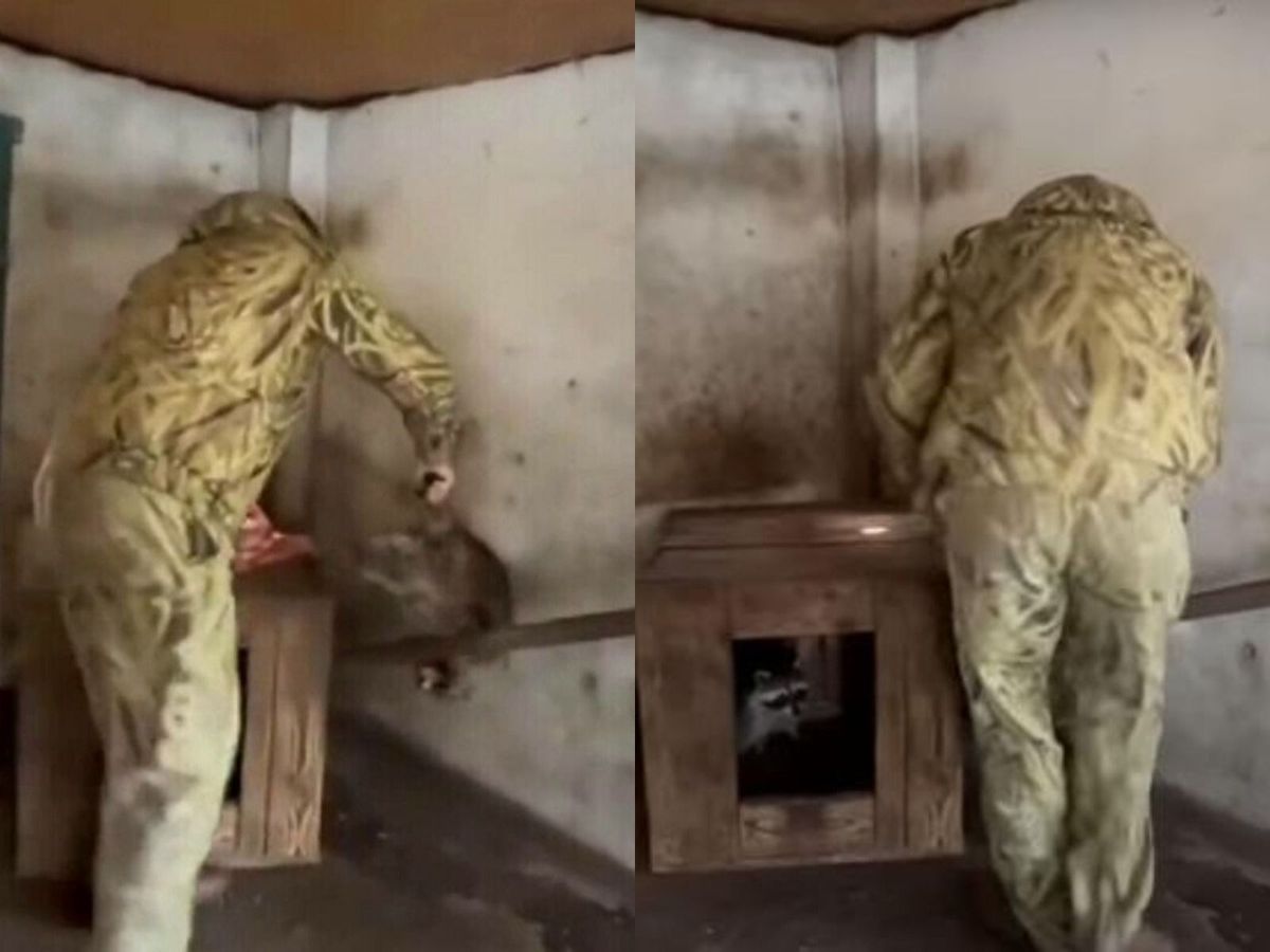 A fost identificat bărbatul care a furat ratonul de la grădina zoologică din Herson