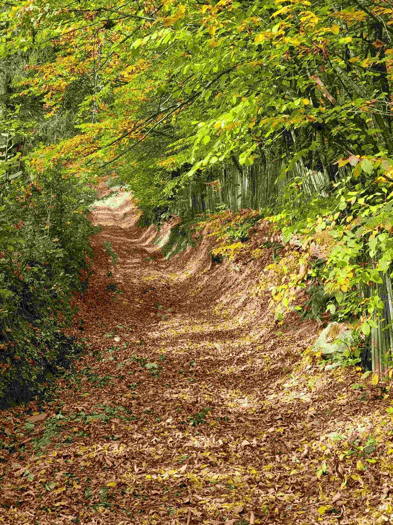 Sâmbătă, călătorie de poveste pe Valea Doftanei, la „ROventura”