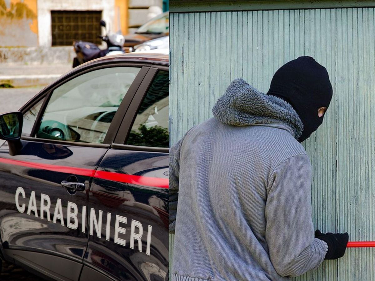  Patru hoți și-au dat seama că au jefuit casa greșită și s-au apucat de curățenie în urma lor.