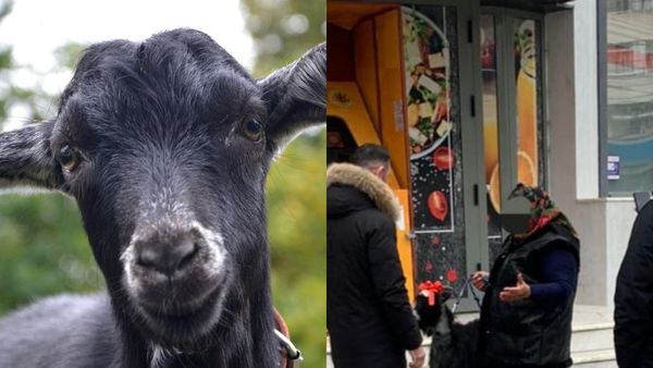 VIDEO: O bătrânică din Focşani a scos capra la vânzare, în schimbul unui bitcoin: ”Vreau să fac o combinaţie. Dacă nu, îl sun pe Elon Musk”