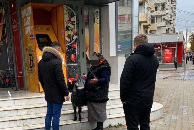 Capră scoasă la vânzare pe bitcoin de o pensionară din Focşani