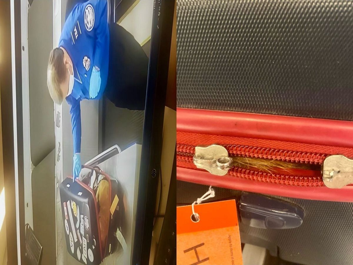 Descoperire bizară în valiza unui călător