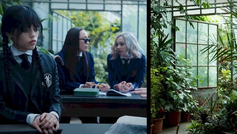 5 motive să te uiti la Wednesday