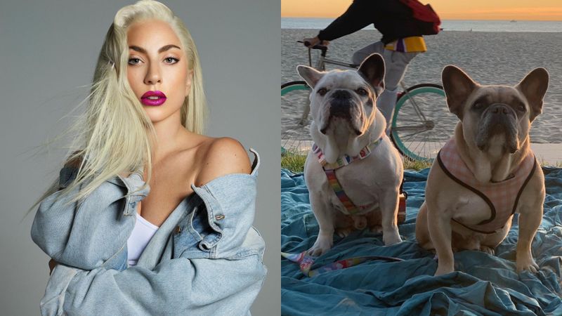 Unul dintre răpitorii c&acirc;inilor lui Lady Gaga a fost condamnat la 21 de ani de &icirc;nchisoare. Bărbatul a pledat vinovat de tentativă de omor