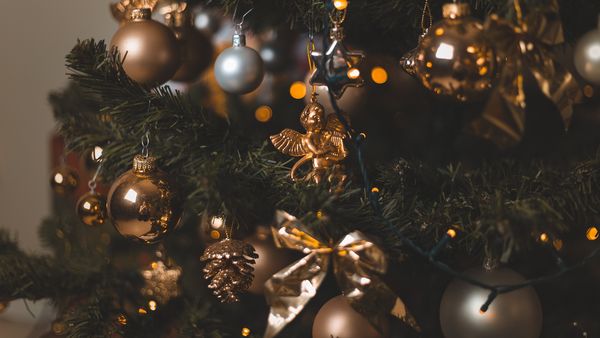 Dimineața Nebună: C&acirc;nd se &icirc;mpodobește bradul? Iată ce spune tradiția