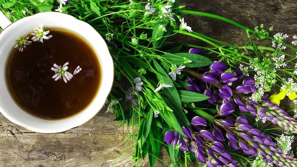 15 decembrie 2022. Ziua internațională a ceaiului