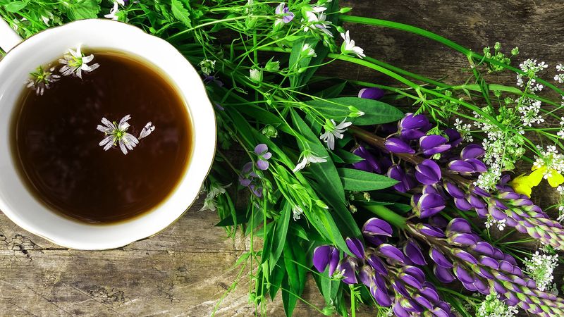 15 decembrie 2022. Ziua internațională a ceaiului