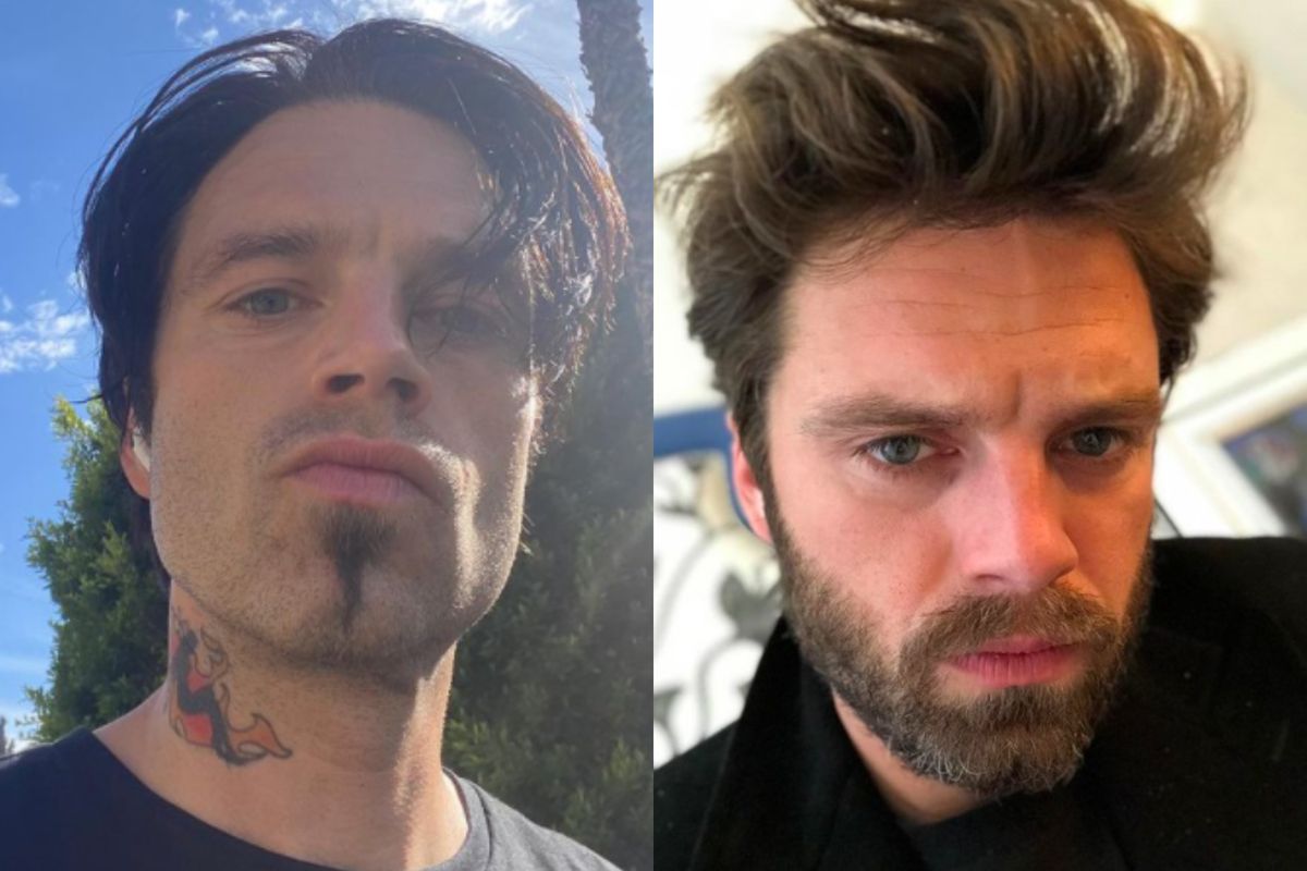 sebastian stan 
