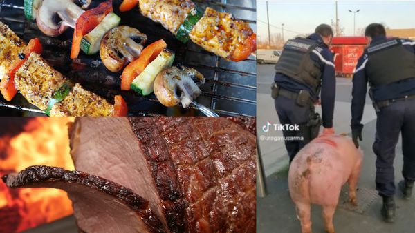 Dimineața Nebună. Imagini virale cu un porc salvat de la tăiere de jandarmi. Audio