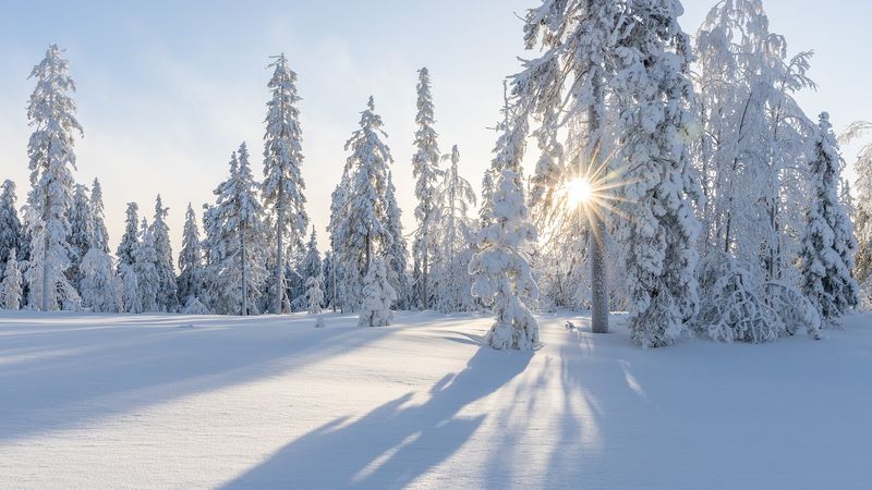 Solstițiul de iarnă, 21 decembrie 2022. Cum ne influențează acest fenomen