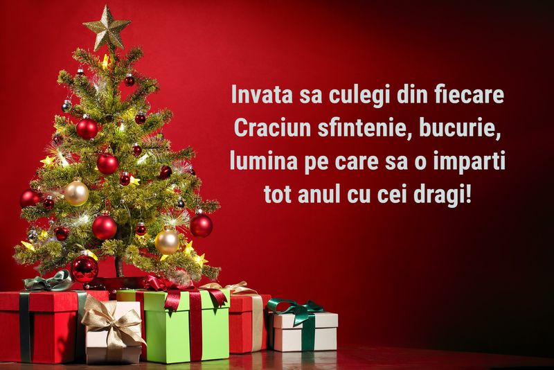 Felicitări de Crăciun 2022