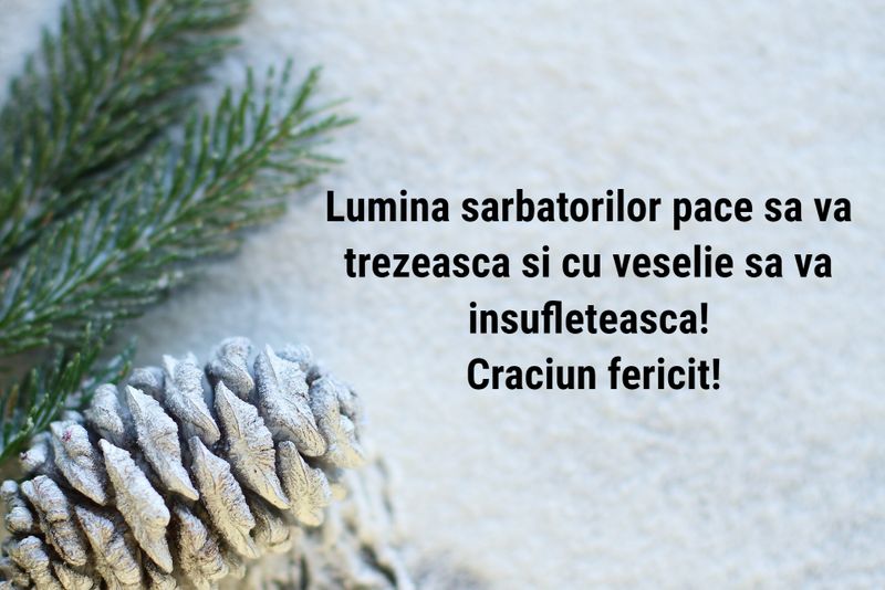 Felicitări de Crăciun 2022