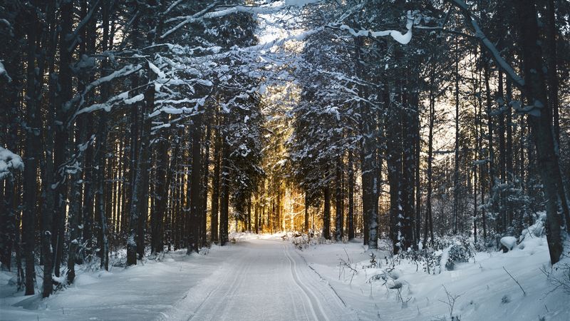 Prognoza meteo ANM: C&acirc;nd va ninge &icirc;n Rom&acirc;nia și la ce temperaturi trebuie să ne așteptăm &icirc;n perioada următoare?