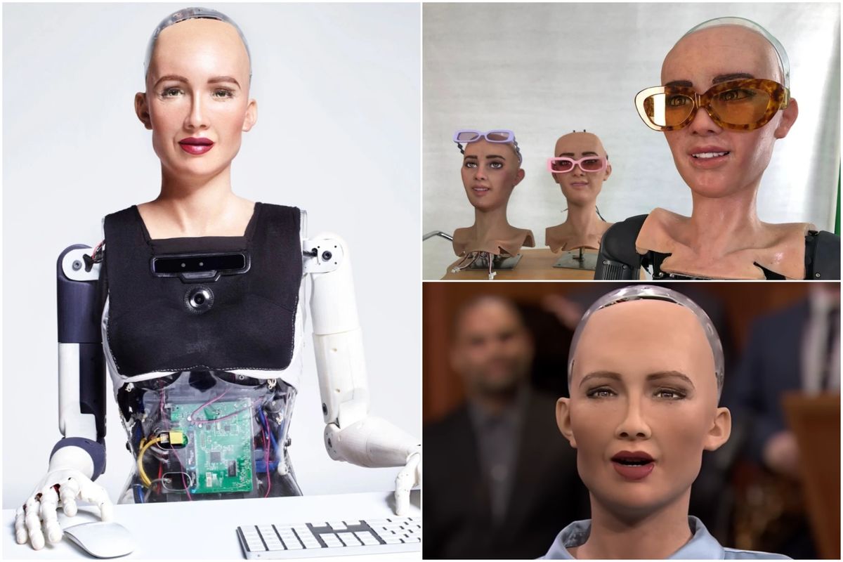 inteligenta artificiala 