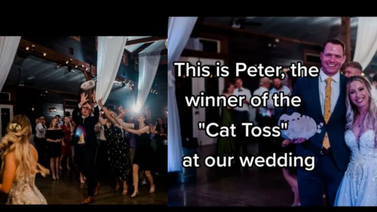 Inedit! O mireasă &icirc;nlocuiește aruncarea buchetelor cu &bdquo;aruncarea pisicii&rdquo;. Motivul pentru care a făcut asta