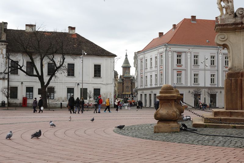 timisoara 