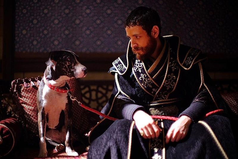 „Ascensiunea imperiilor: Otomanii”, ocupă primul loc în topul serialelor Netflix din România. Cine sunt actorii români care joacă în serial?