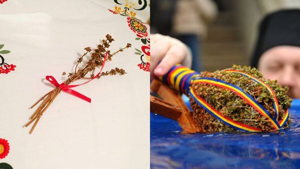 Ce semnificație are, de fapt, busuiocul de Bobotează? Tradiții legate de această plantă cu puteri magice