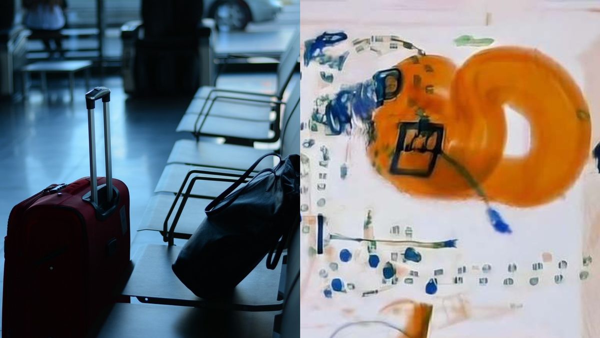 O femeie a &icirc;ncercat să urce &icirc;n avion cu un șarpe Boa Constrictor