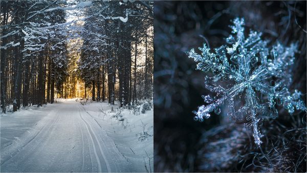 Prognoza meteo până la finele lunii ianuarie 2023: Când va ninge în București și în alte regiuni ale țării?