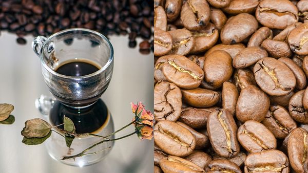 18 ianuarie - Ziua Cafelei Gourmet. Care este diferența dintre o cafea normală și una gourmet?