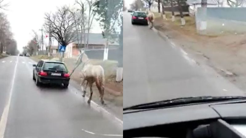 Dimineața Nebună: Un şofer din Botoșani a vrut să sesizeze o neregulă, dar a ajuns şi el &icirc;n vizorul poliţiştilor - AUDIO