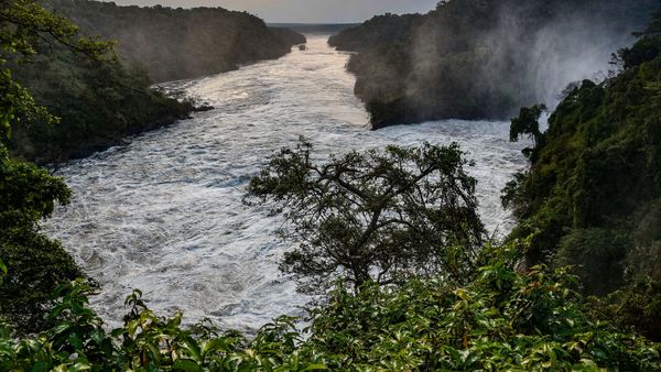 145 de pasageri au fost dați dispăruți, iar autoritățile se tem de ce este mai rău după ce un vapor s-a scufundat cu tot cu bagaje și animale