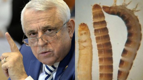 Dimineața Nebună: "Lăsaţi insectele în insectar”. Petre Daea, despre larva gândacului de bălegar, aprobată de UE ca aliment comestibil - AUDIO