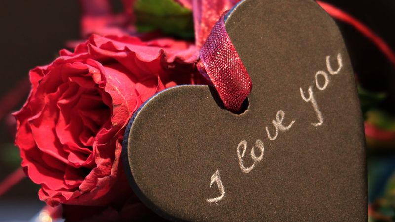 7 Februarie 2023 Ziua Trandafirilor: Cele mai frumoase mesaje, urări și felicitări pentru &icirc;nceputul Săptăm&acirc;nii &Icirc;ndrăgostiților